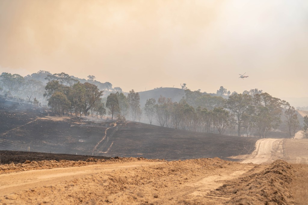 Thumbnail for Firemen stand down, but warn just one tree could spark fresh blaze