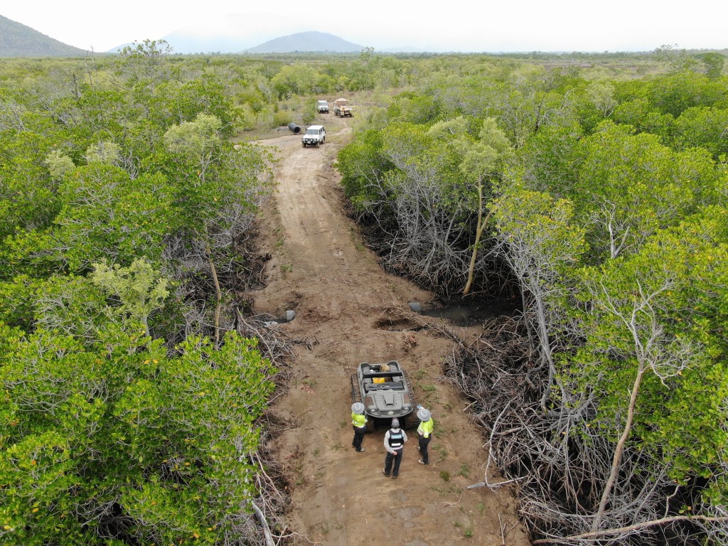 Thumbnail for Townsville man cops $145,000 fine for building road through protected wetlands