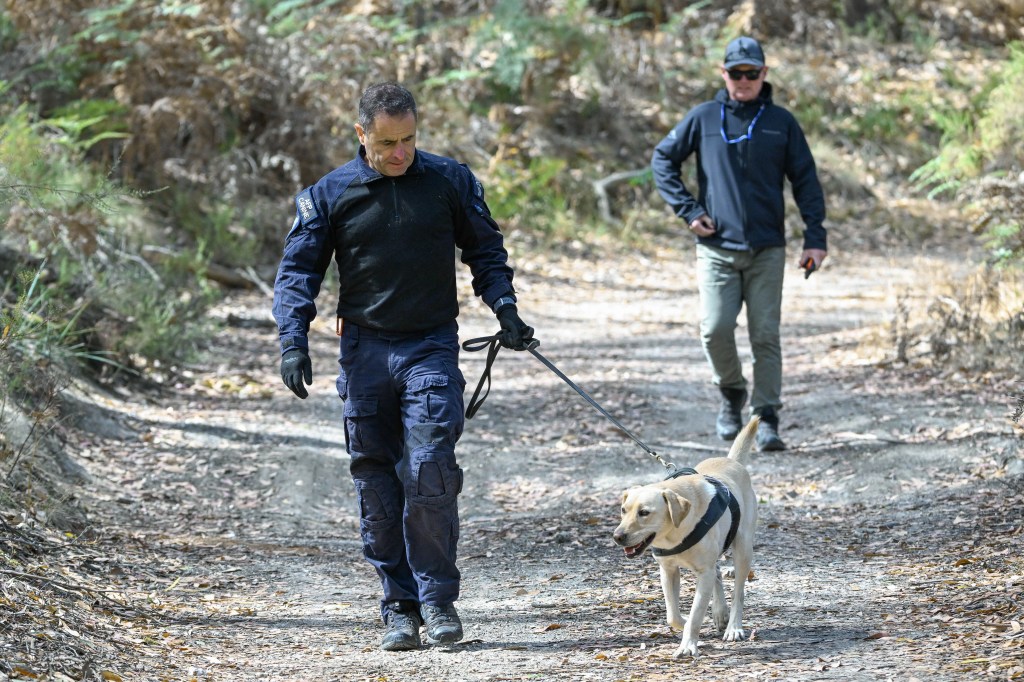 Thumbnail for Sniffer dogs take centre stage as hunt for Samantha’s body enters new phase