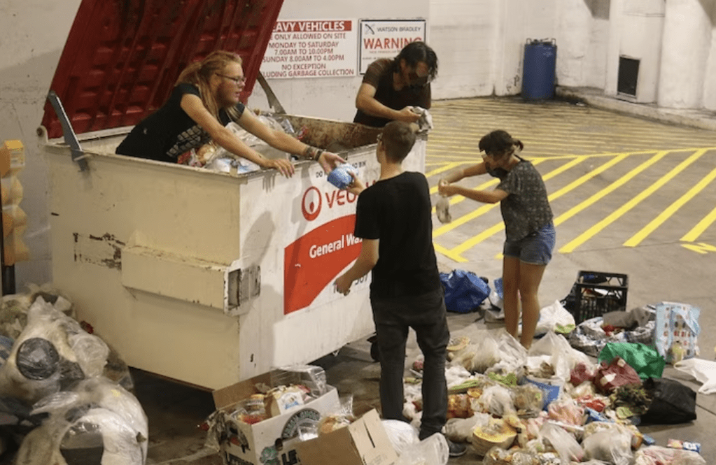Thumbnail for Fresh food people? Senate hears good food being thrown away, poor forced into ‘dumpster diving’