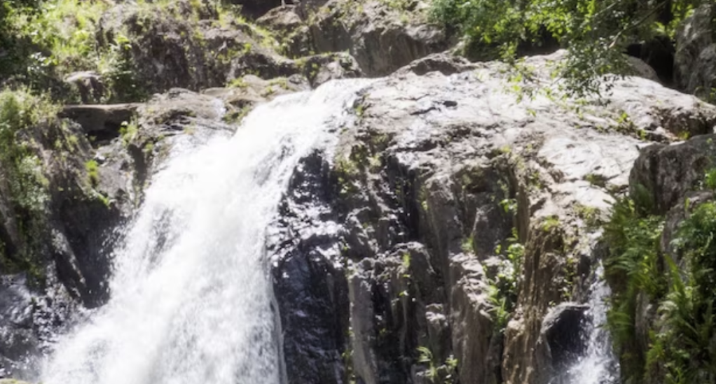 Thumbnail for Body of Japanese tourist recovered from Crystal Cascades a day after he disappeared