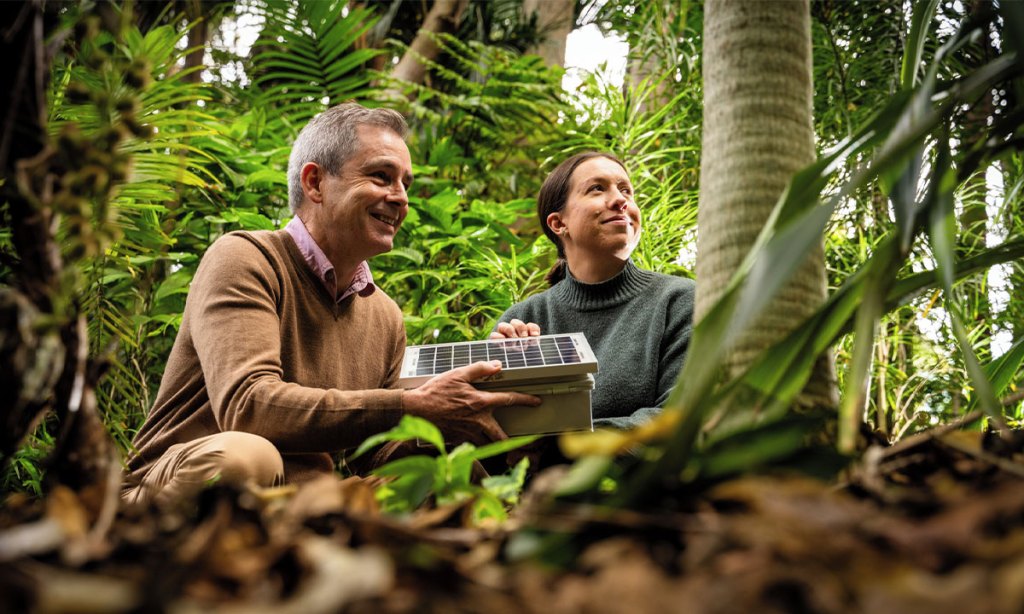 Professor Paul Roe and Dr Daniella Teixeira in the field. (Photo: Tony Phillips).
