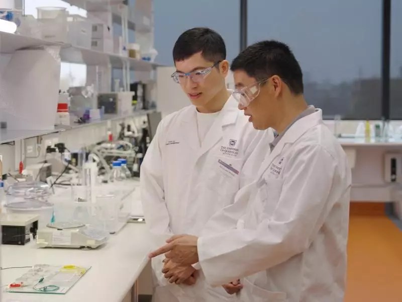 Thumbnail for Greenhouse gladiator: UQ reveals generator that turns carbon gases into energy