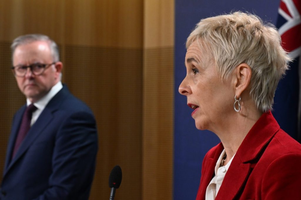 Thumbnail for Wait, there’s more: PM says ‘job not done’ in tackling challenge of our generation