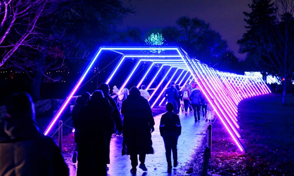 Lightscape Brisbane will turn the City Botanic Gardens into a multisensory phenomenon of light, colour and sound at this year's Brisbane Festival.