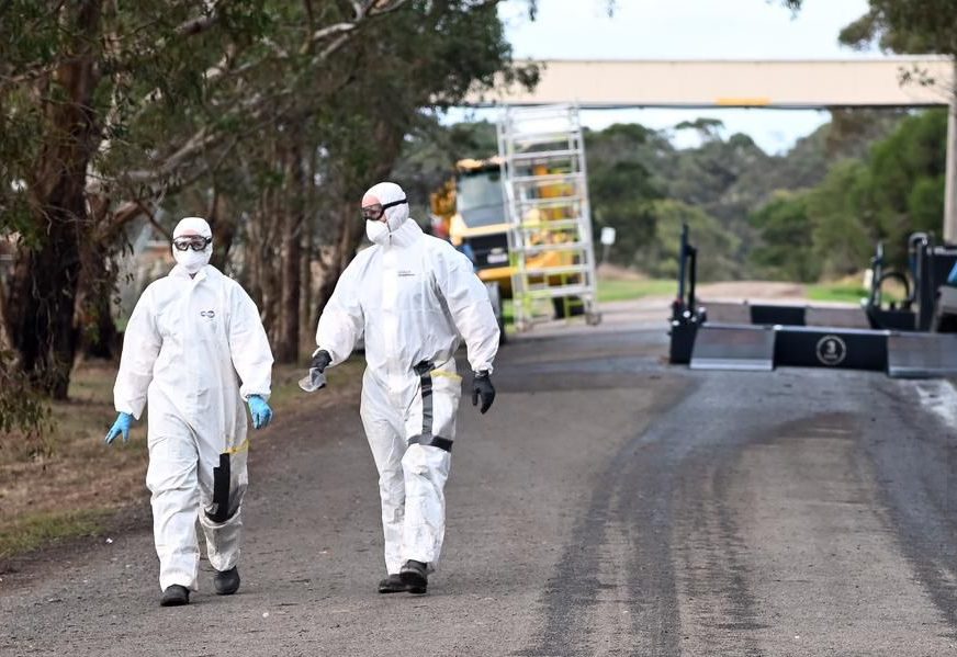 Thumbnail for Did somebody say bird flu? CSIRO battling three strains across nation, more on the way