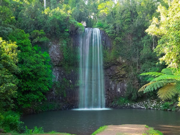 Millaa Millaa Falls, where three men were diving and two are now missing. (Image; Queensland.com)