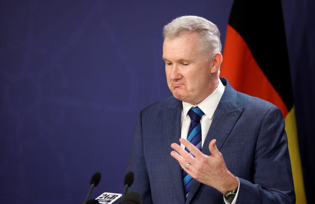 Minister for Employment and Workplace Relations Tony Burke . (AAP Image/Toby Zerna) 
