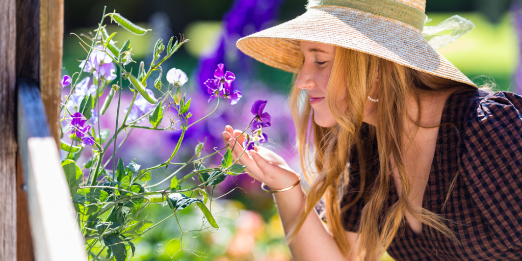 Thumbnail for Food festivals, starry serenades and doggy days out – top things to check out at Toowoomba Carnival of Flowers