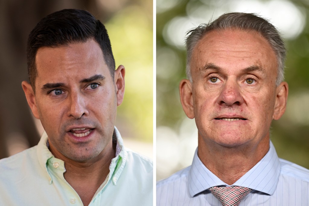 Thumbnail for Disgusting human: Latham to pay $140,000 over ‘maelstrom of abuse’ in tweet to fellow MP