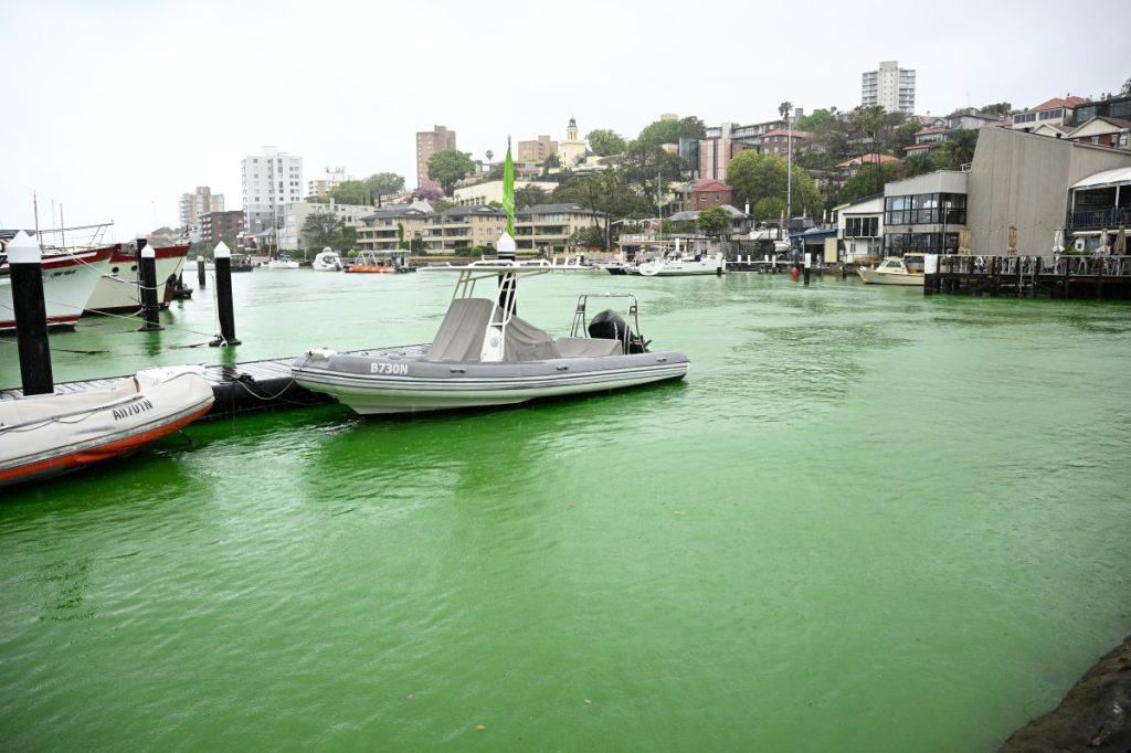 Thumbnail for It’s not easy being green, but emerald city’s new hue likely to remain a mystery