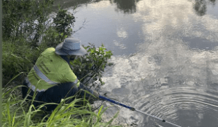 Thumbnail for Prosecution still hangs over Gold Coast Council for ‘worst-ever’ sewage spill