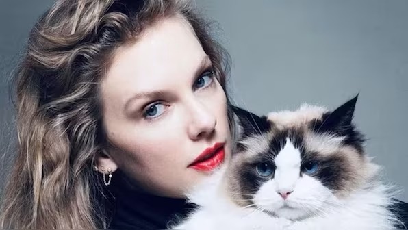 Thumbnail for Nine out of ten American pop stars are unlikely to eat your cat – and 1000 more useless facts