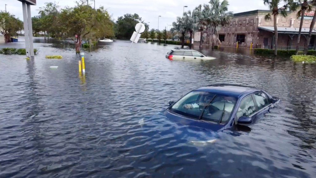 Thumbnail for At least 10 dead, millions homeless, but worst case seawater surge showed mercy