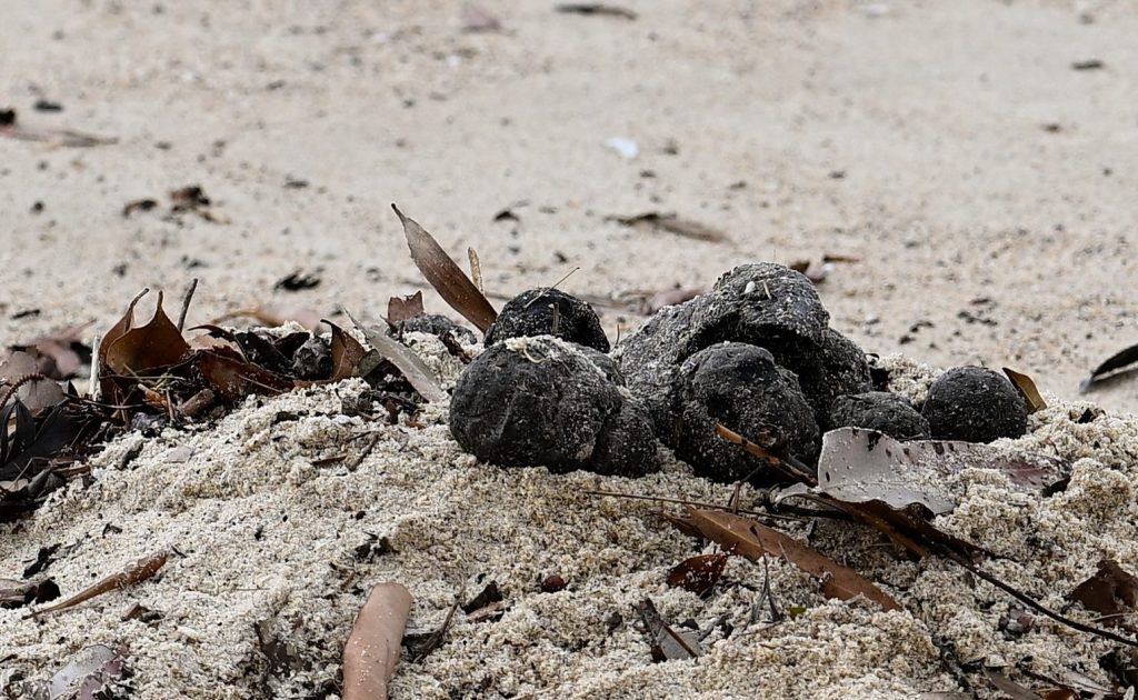 Unknown debris is seen washed up on Coogee Beach, Sydney, Wednesday, October 16, 2024. Coogee Beach in Sydney’s east closed following discovery of mysterious, black, ball-shaped debris. (AAP Image/Steven Markham) NO ARCHIVING